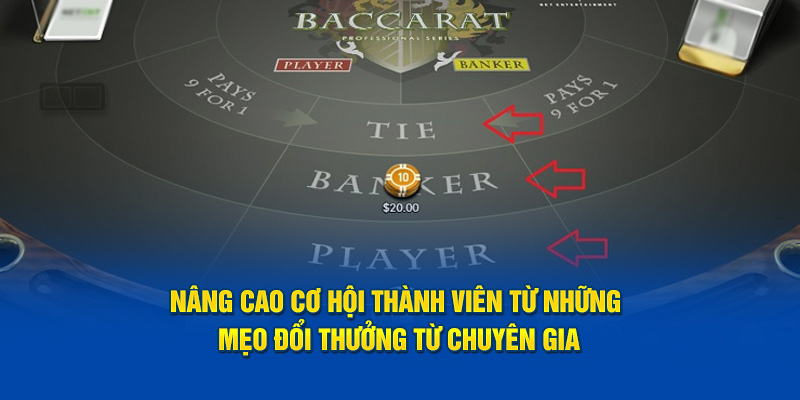 Nâng cao cơ hội thành viên từ những mẹo đổi thưởng từ chuyên gia